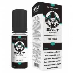 Ice Mint - SALT E VAPOR