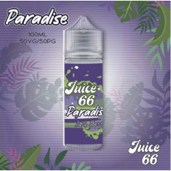 Lime Berry 100 ml - JUICE 66