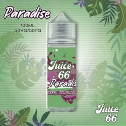 Berry Watermelon 100Ml - JUICE 66